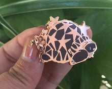 Load image into Gallery viewer, Star Tortoise