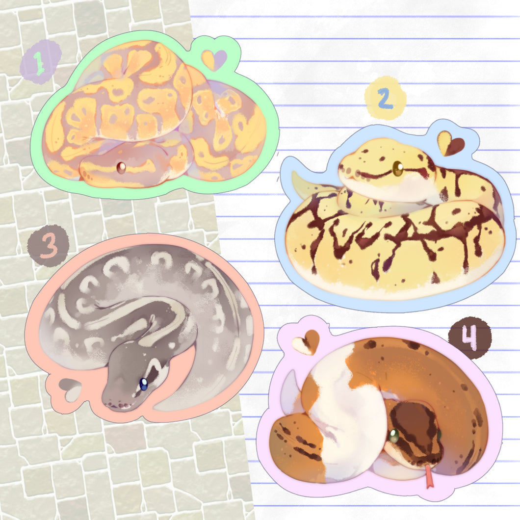 [ Reptile ] Baby Ball Python Stickers